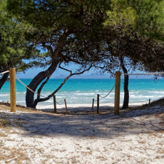 Seminare in Mallorca
